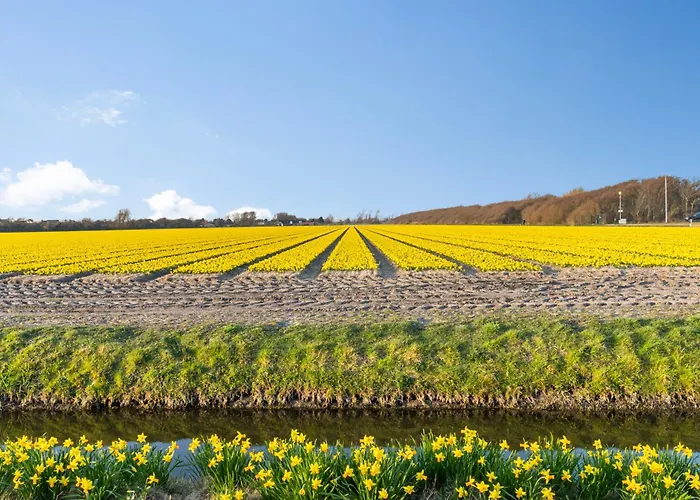 Beach&spa Villa Julianadorp